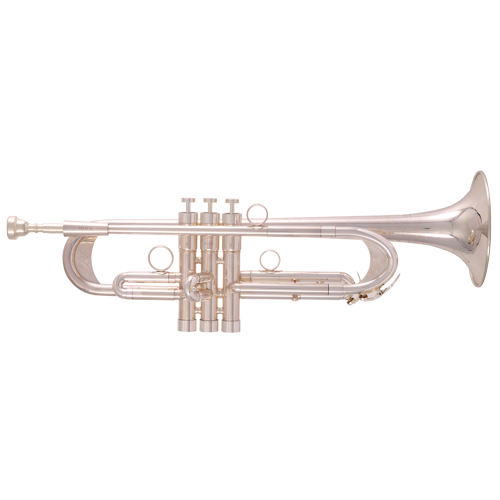F. Schmidt M1836 Band & Orchestra Gold