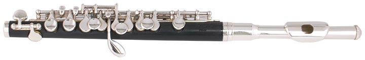 Tanaka Piccolo Abs Body Sil.pl Head