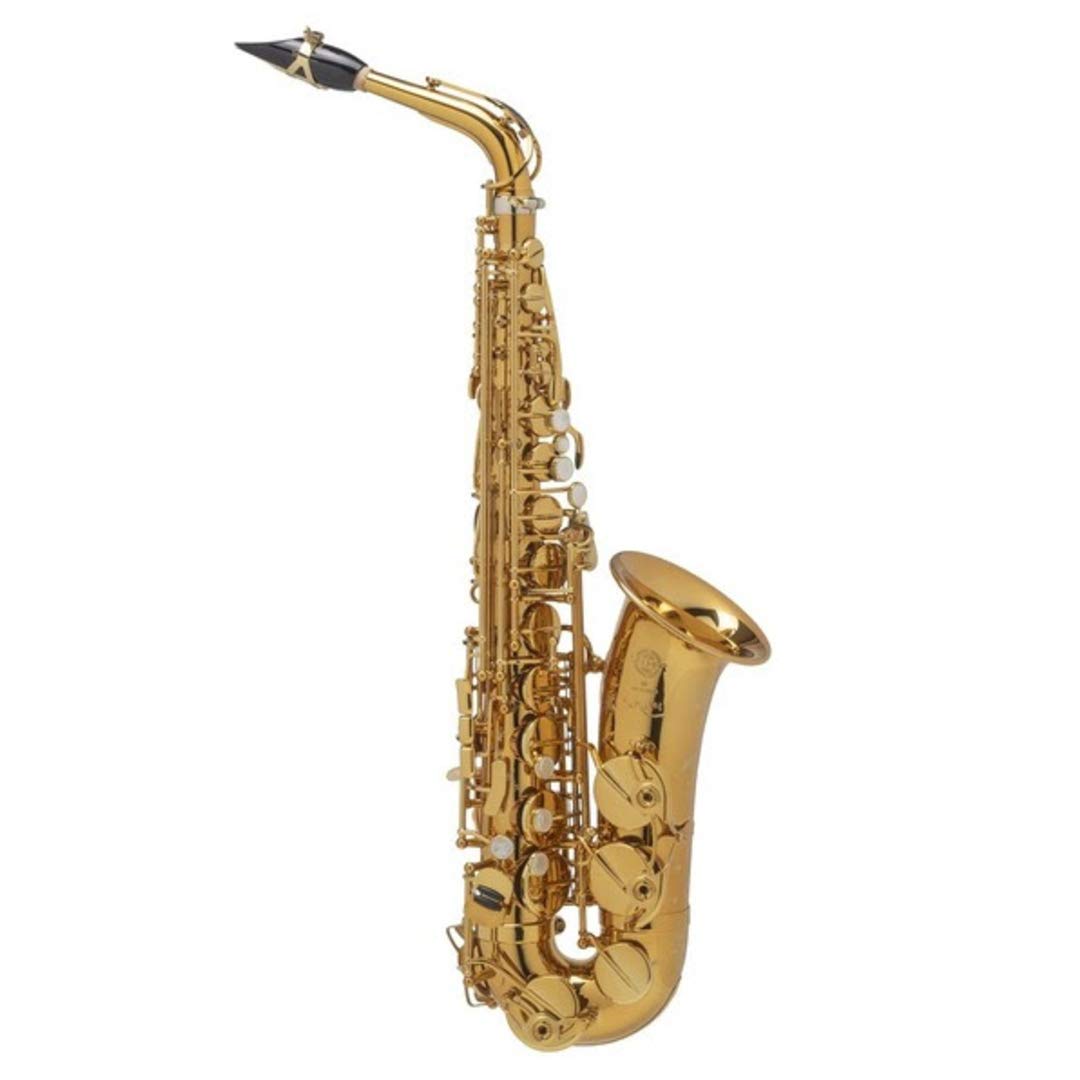 Selmer Alto Saxophone