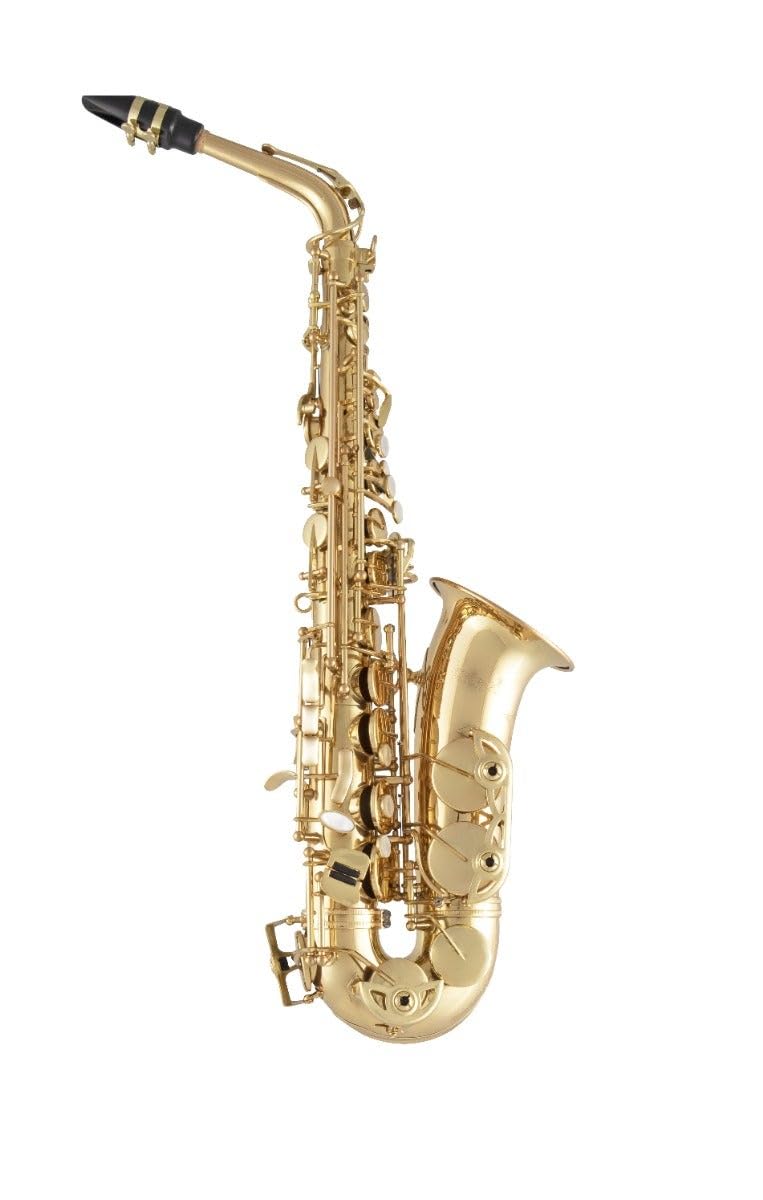 Selmer Alto Saxophone in Eb SAS511