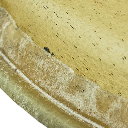Gon Bops Tumbao Pro Rawhide Head 11.50"